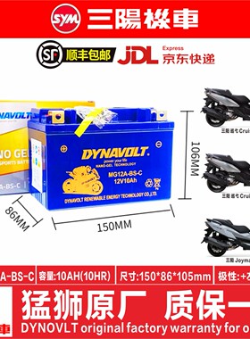 三阳曼巴巡弋180 TL500 508 DRG150听你TINI110飞度4 FNX150电瓶