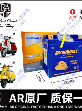 RA摩托车电瓶RA150 GP150 GP250 GP300 TG300S TV175 TG300S原厂