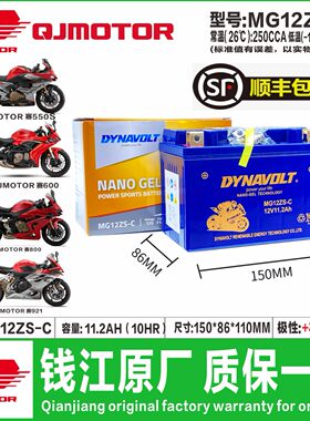钱江追350追600赛250赛350电瓶