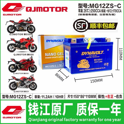 钱江追350追600赛250赛350赛400赛550S赛600逸550骁500闪300电瓶