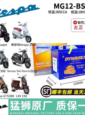适用维斯帕VESPA GTS300 GTV300 LXV150春天冲刺埋地雷Medley电瓶