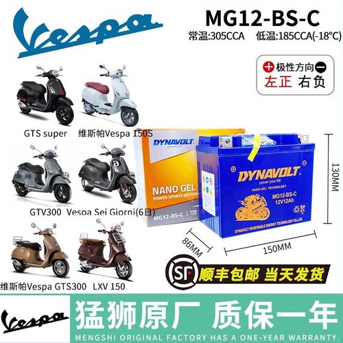 维斯帕150/300电瓶猛狮公司直发