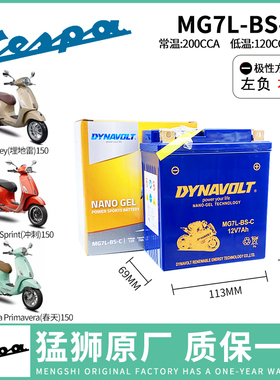 适用比亚乔liberty125维斯帕Sprint春天冲刺946dior埋地雷150电瓶