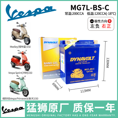 维斯帕150春天电瓶猛狮公司直发