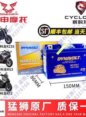 宗申赛科龙全系电瓶猛狮公司直发