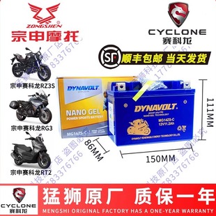 RG3 RX500电瓶 RA2 RC401 RT3 RE3 RZ3S RX4 RT2 RX1S 赛科龙RX1