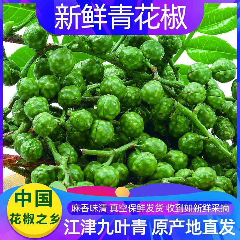 新鲜青花椒藤椒350g四川特产真空冷冻保鲜麻椒江津九叶青鲜花椒粒