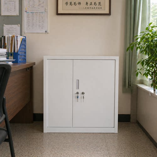 双锁双人保密柜药品柜办公文件柜