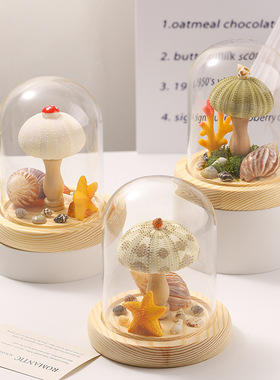 天然海螺海星小夜灯成品手工制作特色伴手礼贝壳摆件文创装饰摆件