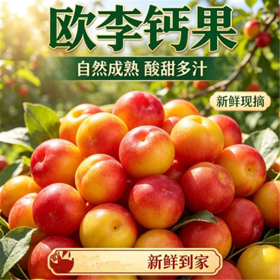 东北欧李钙果鲜果山梅子鲜果水果