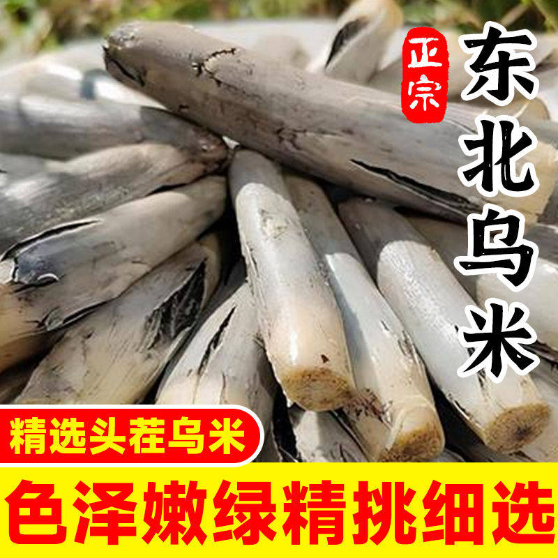 新鲜高粱乌米现摘速冻乌苠菌蔬菜