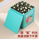 特色产区乌龙茶 蜜桃乌龙茶白桃水国味茶花果茶冷泡茶精致小罐装