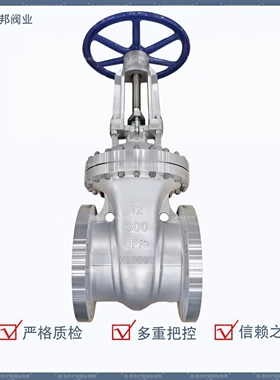 304316L不锈钢美标法兰闸阀阀门Z41W-150LB300LBDN65 80 100