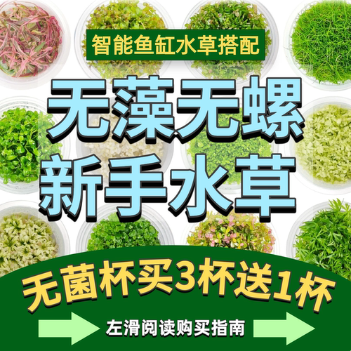 智能桌面鱼缸新手水草套餐无藻螺