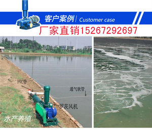 高压罗茨风机三叶鱼塘新型增氧泵大型水产养殖打氧底部纳米曝气机