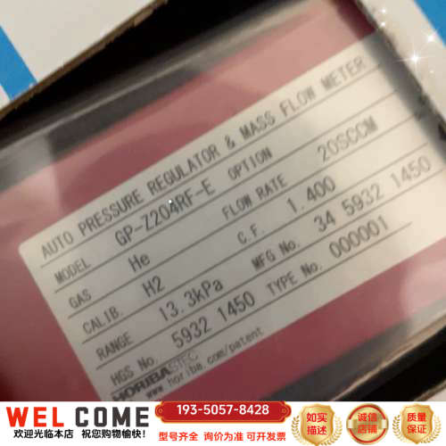 HORIBA GP-Z204RF-E 氦气He 流量计 详谈报价