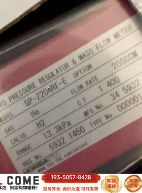 HORIBA GP-Z204RF-E 氦气He 流量计 详谈报价