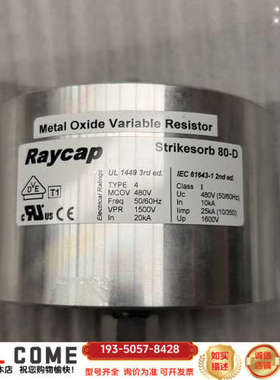 Raycap防雷器，strikesorb 80-D详谈报价