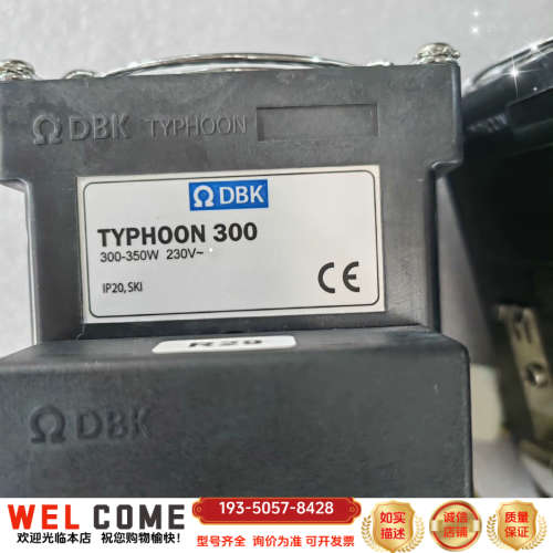 DBK加热器 TYPHOON300 230V, 300-35详谈报价