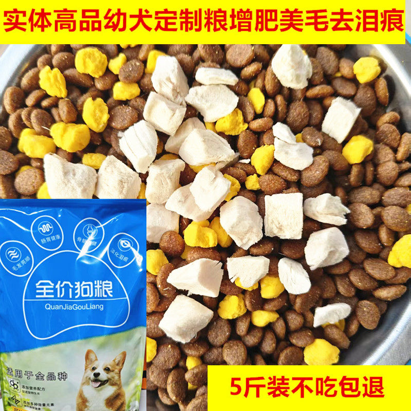 柯基巴哥泰迪小型犬狗粮5斤装