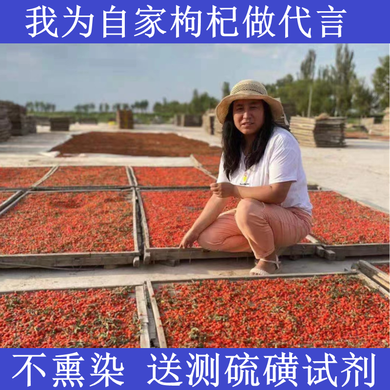 小枸杞子无熏硫无染色自产自销宁夏苟杞农家正宗中宁红苟产地直发