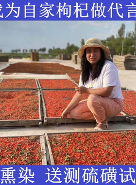 小枸杞子无熏硫无染色自产自销宁夏苟杞农家正宗中宁红苟产地直发