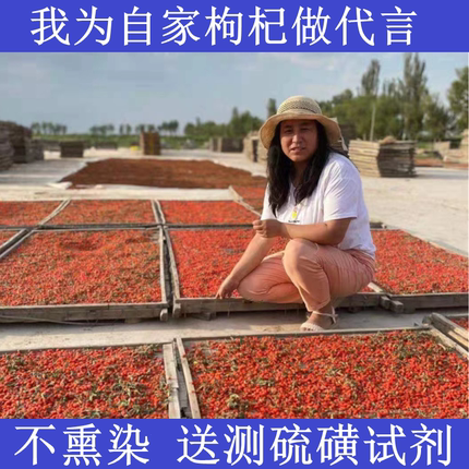 小枸杞子无熏硫无染色自产自销宁夏苟杞农家正宗中宁红苟产地直发