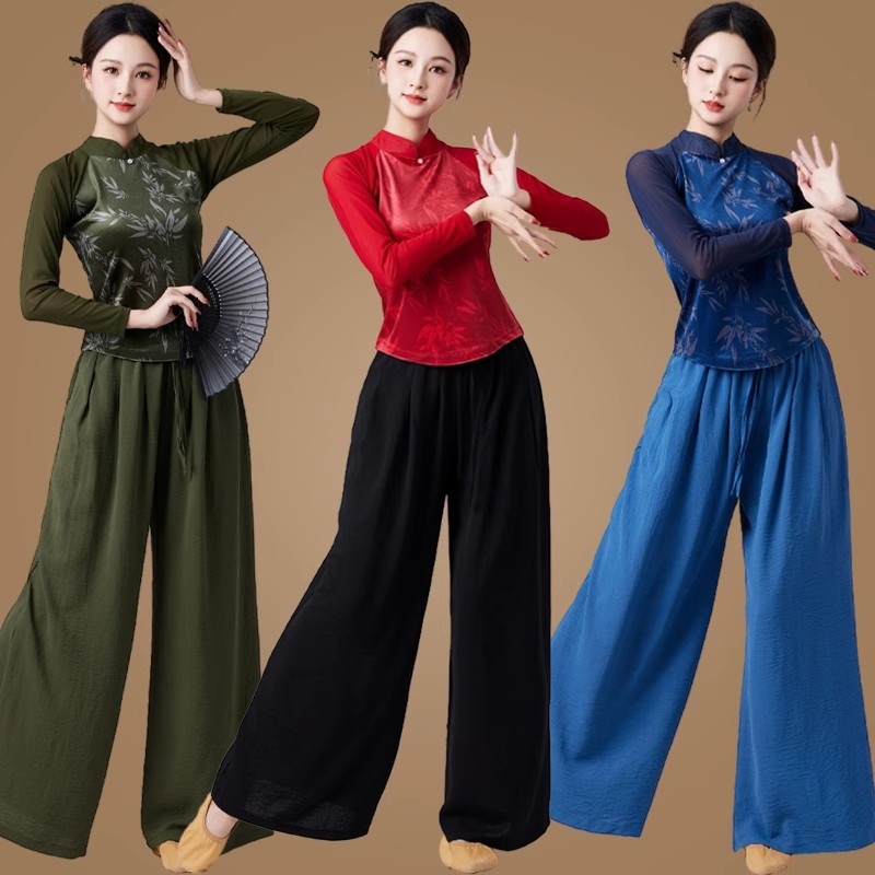 新款古典舞民族舞中国风练功舞蹈演出服竹叶花韩国绒网纱袖立领女