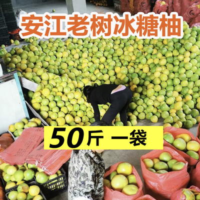 冰糖柚子正宗湖南怀化安江特产