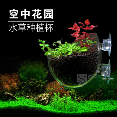 鱼缸水族箱饲育造景盆缸内型水草杯水草种植杯玻璃水草造景水草盆