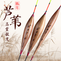 Fisherman's Reed float authentic high sensitive crucian carp float Dunkou fish float bold eye-catching hand reed float fish sign