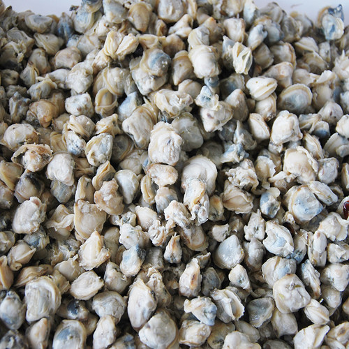 苏北盐城特产新鲜淡水蚬子去壳无沙蛤蜊肉黄蚬子贝壳肉250g包邮