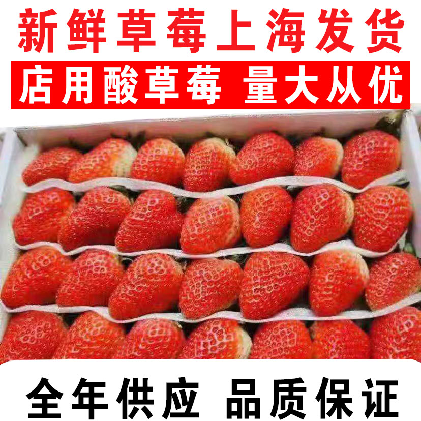 现货酸的新鲜草莓1盒装2盒起发