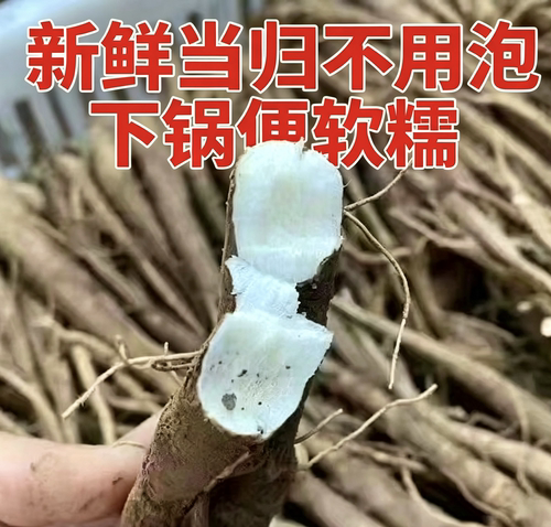 今年新货甜当归干货现挖小当归粉糯煲汤当归炖鸡泡酒