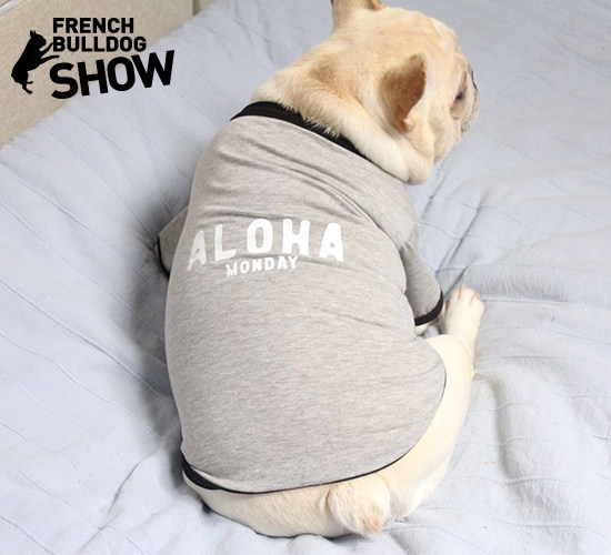 狗狗衣服秋冬泰迪法斗衣服小型犬幼犬胖狗柴犬柯基背心打底衫T恤|msdalam kategori haiwan peliharaan/makanan haiwan dan bekalan, Haiwan pakaian dan aksesori, haiwan pakaian/baju hujan - dari Buy2taobao.com untuk memberikan perkhidmatan ejen Taobao profesional membeli