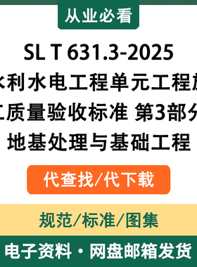 SLT631.3-2025水利水电工程单元工程施工质量验收标准第3部分地基
