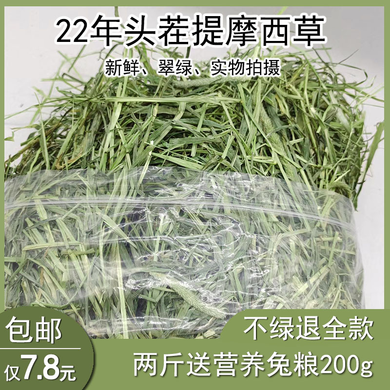 22年提摩西草兔子龙猫豚鼠荷兰