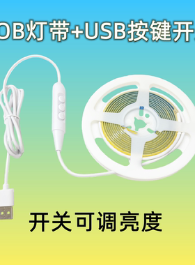 5Vcob灯条无光斑可裁剪usb按键开关调亮度开关手工氛围灯led灯带