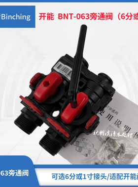 开能 旁通阀 BNT-063旁通阀 6分或1口 适配奔泰水处理控制阀