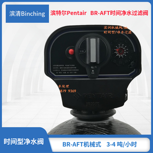 美国滨特尔Pentair 滨润BR-AFT控制阀 过滤时间 3.5吨 净水多路阀