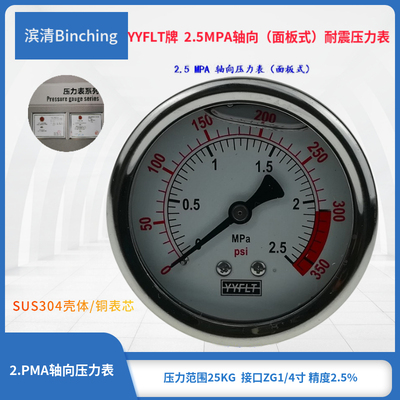 滨清厂价0-2.5pma现货耐震压力表