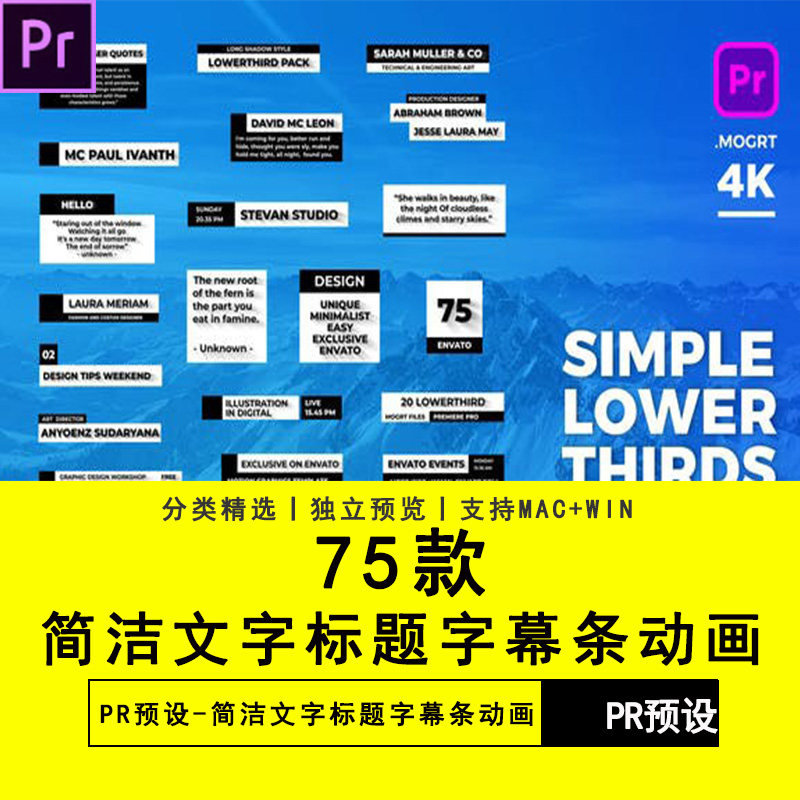 75款PR软件预设短视频抖音简洁文字标题字幕条动画Premiere素材
