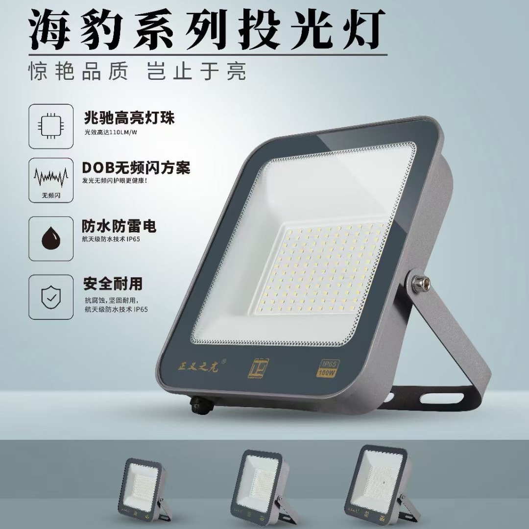 户外照明高亮防雨防雷无频闪