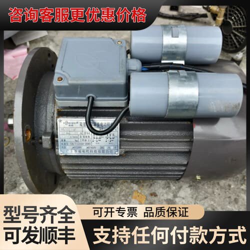 议价雄威双值电容异步电动机 YL100L1-4F，220V 11可维修