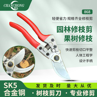 蟾虫868园艺剪刀修枝剪果树修枝剪树枝修花枝剪园林省力修剪粗枝