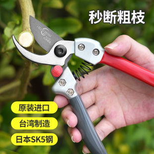 日本进口钢树枝剪刀剪树枝修枝剪果树修枝剪园林剪刀盆景修剪专用