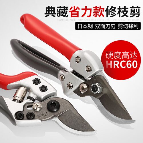 蟾虫修枝剪树枝剪树枝剪果树剪刀