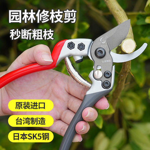 园艺剪刀修枝剪果树修枝剪树枝剪