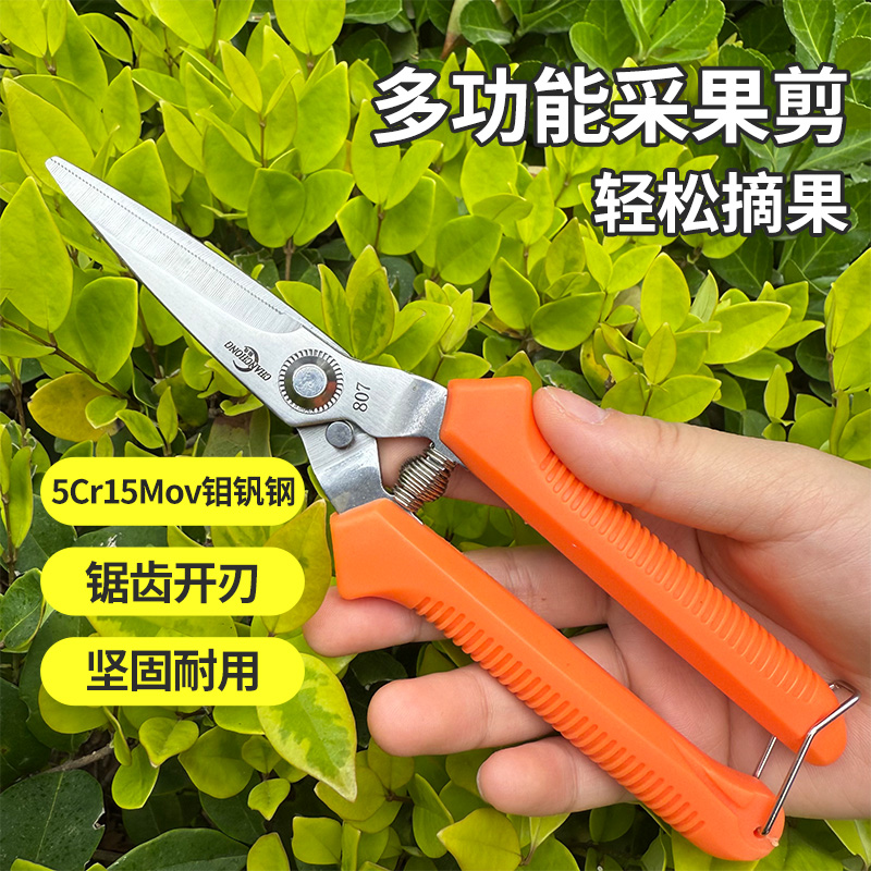 花剪园艺剪刀修枝剪摘果剪刀花艺