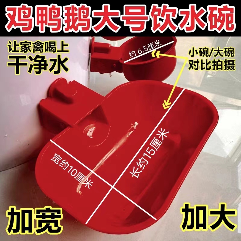家禽自动饮水鹌鹑鸭鹅鸽子喝水碗